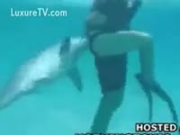 [ Animal Sex Film ] Dolphin follows woman in the water